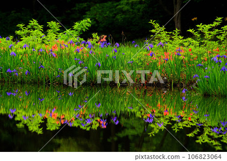 Piercing rust of rock pond 106823064
