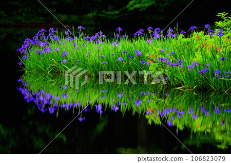 Piercing rust of rock pond 106823079