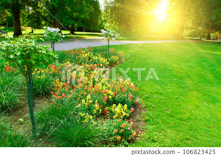 Summer garden with flowers and lawns. Evening, sunset. 106823425