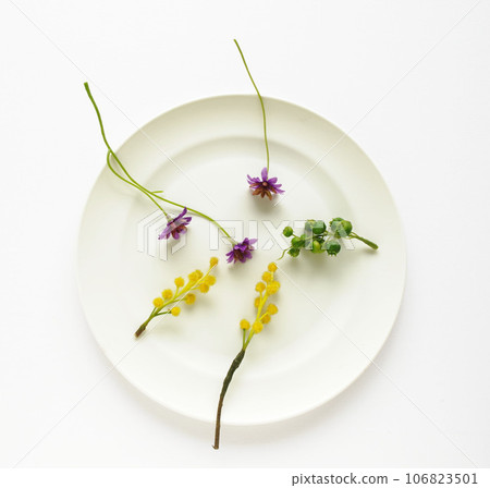 白盤上小花的佈局 白盤上小花的佈局 106823501