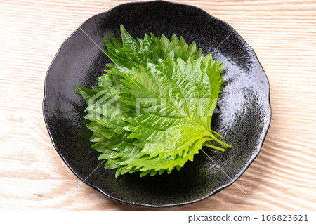 Macrophyll  106823621