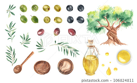 Set of green, black and red olives, olive branches, olive tree, glass jug and bowl with oil, wooden bowls and spoon, oil drops. Hand drawn watercolor illustration on a white background. 106824811