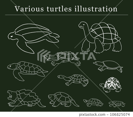 Hand drawn illustration set of turtle friends 106825074