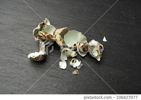 Broken Quail Egg Shell, Crushed Quail Eggshell, Calcium Supplement, Cracked Eggshells, Compost Ingredient Broken Quail Egg Shell, Crushed Quail Eggshell, Calcium Supplement, Cracked Eggshells, Compost Ingredient 106827077