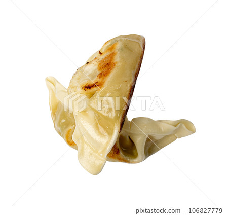Gyoza Chinese Dumplings Isolated, Fried Vegetable Jiaozi, Chicken Momo Pile, Asian Gyoza Group Gyoza Chinese Dumplings Isolated, Fried Vegetable Jiaozi, Chicken Momo Pile, Asian Gyoza Group 106827779