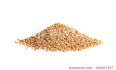 Wheat Grains, Barley Pile, Dry Cereal Seeds, Wheat Grains Heap on White Wheat Grains, Barley Pile, Dry Cereal Seeds, Wheat Grains Heap on White 106827837