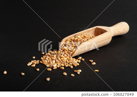 Wheat Grains, Barley Pile, Dry Cereal Seeds, Wheat Grains Heap on Black Wheat Grains, Barley Pile, Dry Cereal Seeds, Wheat Grains Heap on Black 106827849