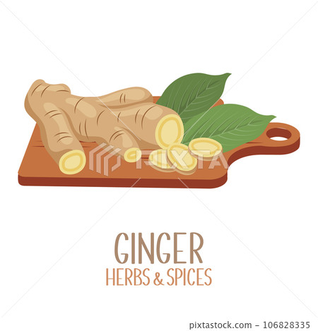 Roots and slices of ginger on a cutting board. Herbs and spices. Illustration, vector 106828335