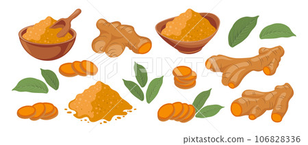 Turmeric icons set. Dry turmeric powder, turmeric roots, slices and flowers. Herbs and spices. Curcumin. Botanical illustration, vector 106828336