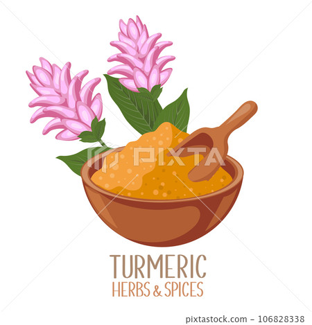 Dry turmeric powder and turmeric flowers. Herbs and spices. Curcumin. Botanical illustration, vector 106828338