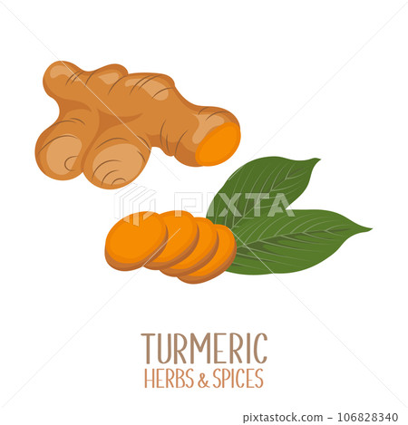 Turmeric root and turmeric slices. Herbs and spices. Curcumin. Illustration, vector 106828340
