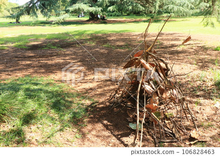 森林秘密基地，冒險，夏日回憶 106828463