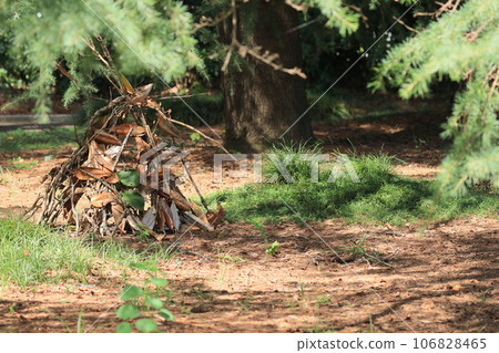 Secret base in the forest, adventure, summer memories 106828465