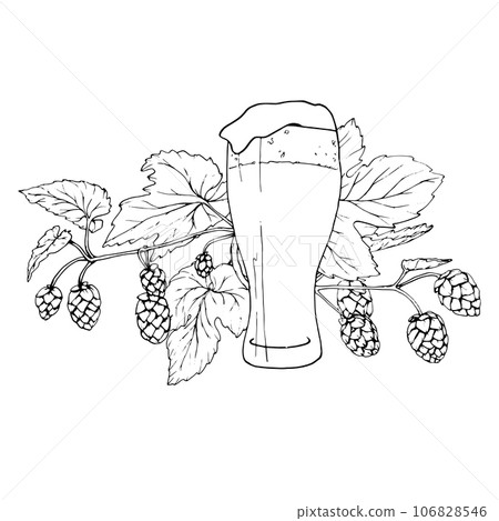 Fresh green hop. Glass of beer. Graphic hand drawn illustration for Octoberfest. Vector sketch for ornament or any design 106828546