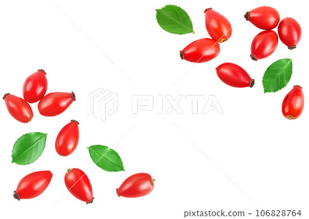 Rose hip isolated on a white background with full depth of field. Top view with copy space for your text. Flat lay. 106828764