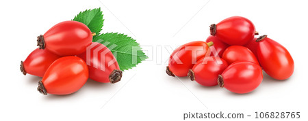 Rose hip isolated on a white background with full depth of field 106828765
