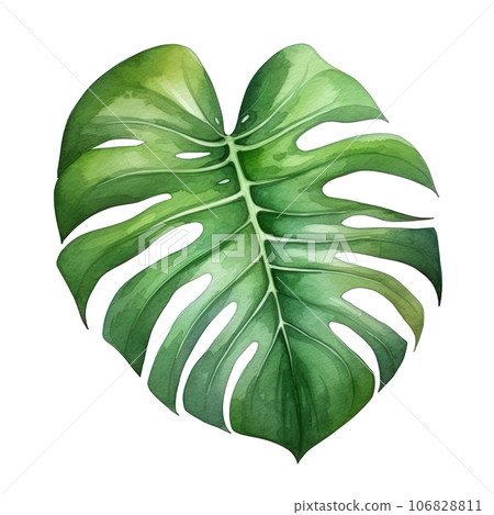 Watercolor green monstera leaf Watercolor green monstera leaf 106828811