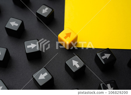 Find a way out. Leadership and direction setting. Open up new horizons. Inspire others by your example. Lead the team. Cooperation and teamwork. Make initiative. Purposeful, punchy. 106829200