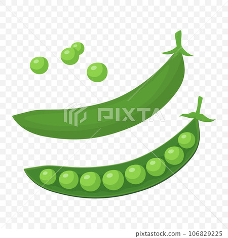 Flat Cartoon Green Peas. Fresh Cartoon Organic Vegetables Isolated. Pods of Green Peas. Vector Illustration 106829225