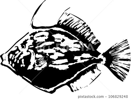 Fish print illustration of filefish Fish print illustration of filefish 106829248