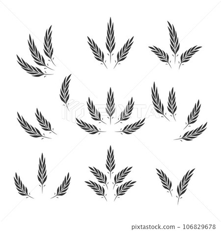 Flat Vector Agriculture Wheat Icon Set Isolated, Organic Wheat, Rice Ears. Design Template for Bread, Beer Logo, Packaging, Labels 106829678