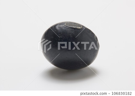 Black soybean 106830182
