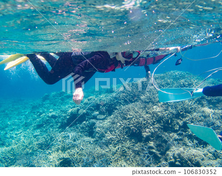 A woman snorkeling the coral reef of Yaebise A woman snorkeling the coral reef of Yaebise 106830352