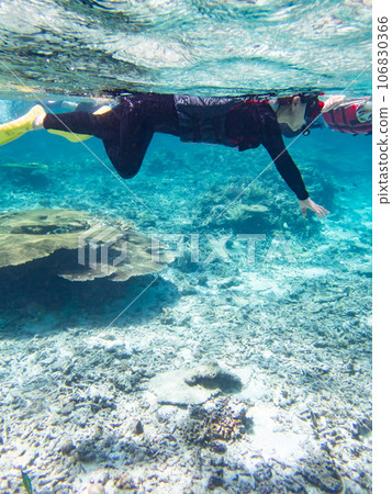 通過浮潛欣賞八重橋的珊瑚礁 106830366