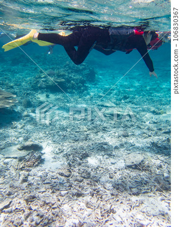 通過浮潛欣賞八重橋的珊瑚礁 106830367