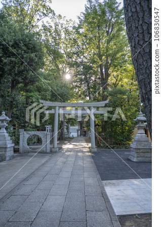 Ogikubo Hachiman Shrine 106830547