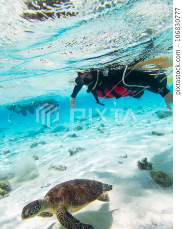 一名女子在沖繩海中浮潛 106830777