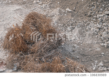Scrap rebar removed during demolition work 106830989