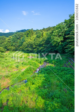 沼尾川水上公園 沼尾川 仲夏風光 澀川市 106831682
