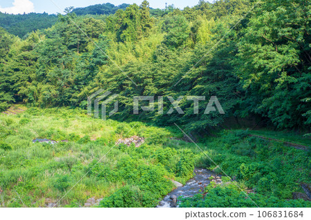 沼尾川水上公園 沼尾川 仲夏風光 澀川市 沼尾川水上公園 沼尾川 仲夏風光 澀川市 106831684