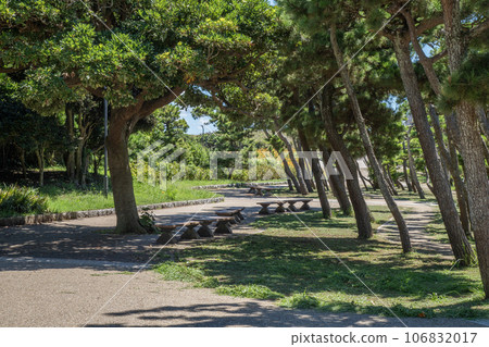 神奈川縣三浦市三崎町城島公園，夏天 106832017