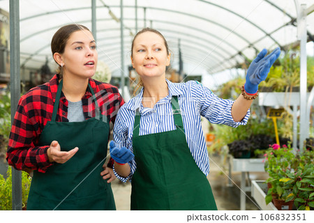 Two positive female botanists discussing among themselves in greenhouse, point gesture Two positive female botanists discussing among themselves in greenhouse, point gesture 106832351