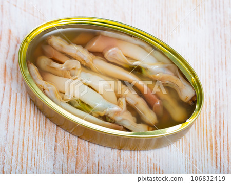 Preserved natural ensis 106832419