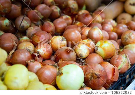 Bulb onion on counter in grocery store, nobody Bulb onion on counter in grocery store, nobody 106832982