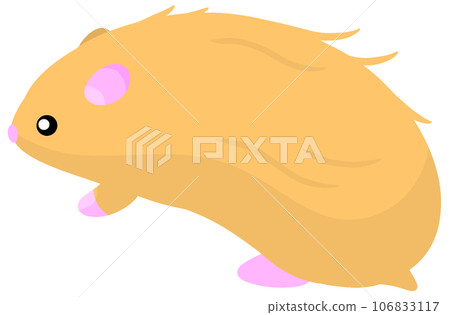 緞面倉鼠 緞面倉鼠 106833117