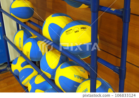 Basketball in the elementary school gymnasium in 2019 106833124