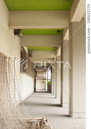 2019年小學飛行員 2019年小學飛行員 106833129