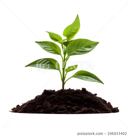 sprout in a pile of soil isolated on transparent background. Generative AI 106833402