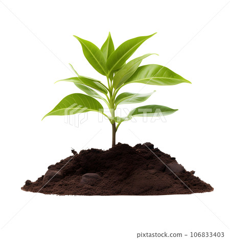 sprout in a pile of soil isolated on transparent background. Generative AI 106833403