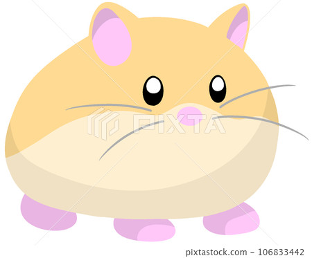 Roborovsky hamster Roborovsky hamster 106833442