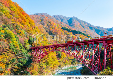 Kurobe Gorge in Autumn: Torokko Train Running on Shinyamabiko Bridge Kurobe Gorge in Autumn: Torokko Train Running on Shinyamabiko Bridge 106833599