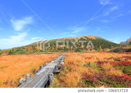 Jododaira Wetlands in Autumn / Fukushima City, Fukushima Prefecture 106833728