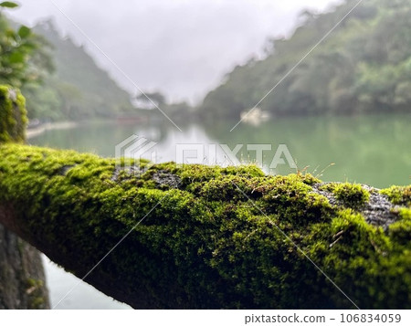 lake moss lake moss 106834059