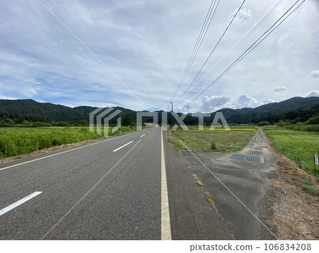 夏日田園風光新潟 夏日田園風光新潟 106834208
