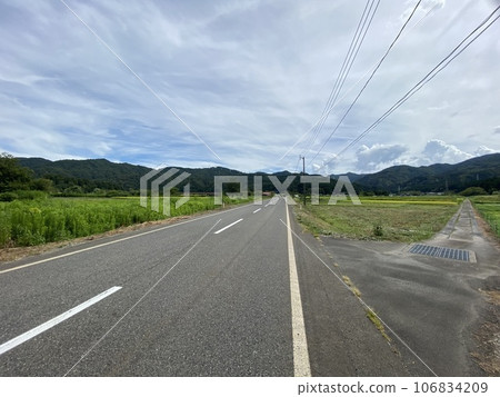 夏日田園風光新潟 夏日田園風光新潟 106834209