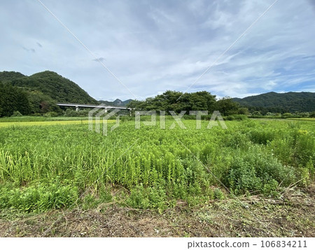 夏日田園風光新潟 夏日田園風光新潟 106834211